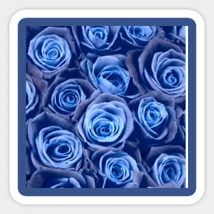 blue roses Sticker